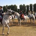 festa del cavallo
