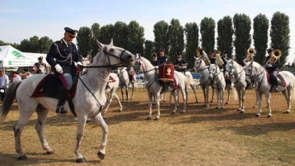 Festa del Cavallo a Cherubine di Cerea