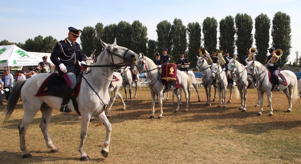 festa del cavallo