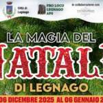 natale legnago