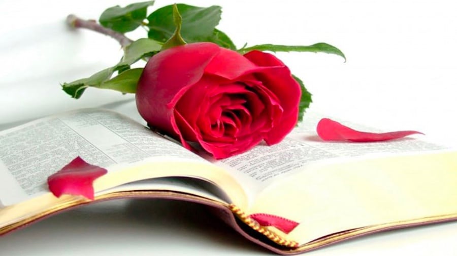 La carezza di un verso