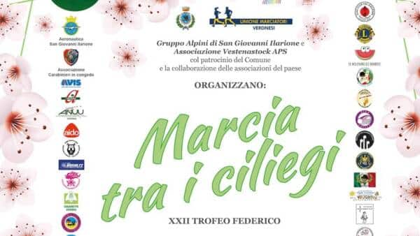 Marcia tra i Ciliegi a San Giovanni Ilarione
