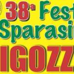 festa sparasina pigozzo 2026