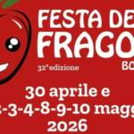 festa della fragola bonavigo