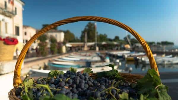 Festa dell’Uva e del Vino a Bardolino
