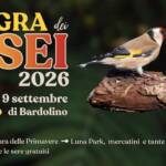 sagra osei cisano di bardolino