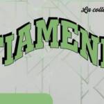 festa di fiamene 2026