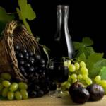 I Vini del Lago di Garda