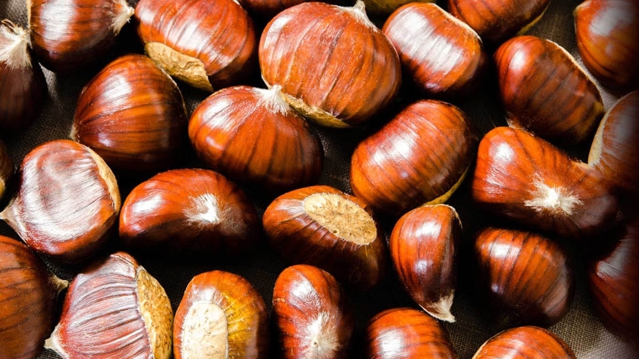 Festa delle castagne e del Marrone DOP a San Zeno CittàdiVerona.it