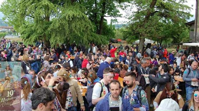 Festa dei vini classici della Valpolicella e Recioto 2017 - Sagre e Manifestazioni a Verona