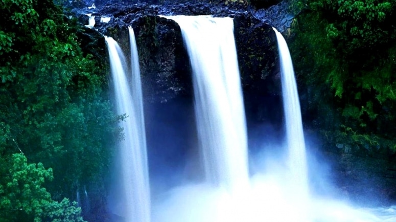 Focusing: come accedere alle informazioni del corpo - Corsi a Verona