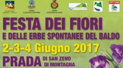 Festa dei fiori a San Zeno di Montagna - Sagre e Manifestazioni a Verona