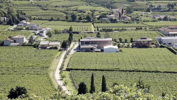 Cantine e aziende agricole Marano di Valpolicella - Cantina Castellani Michele e Figli