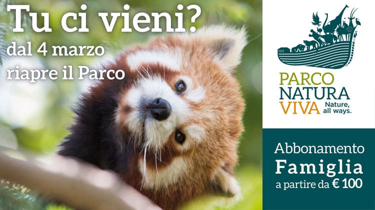 Il Parco Natura Viva riapre al pubblico - Feste a Verona