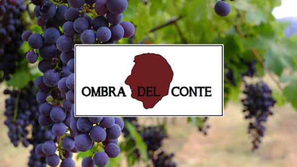 Negozi di prodotti tipici Verona - Ombra del Conte Cantina Valpantena