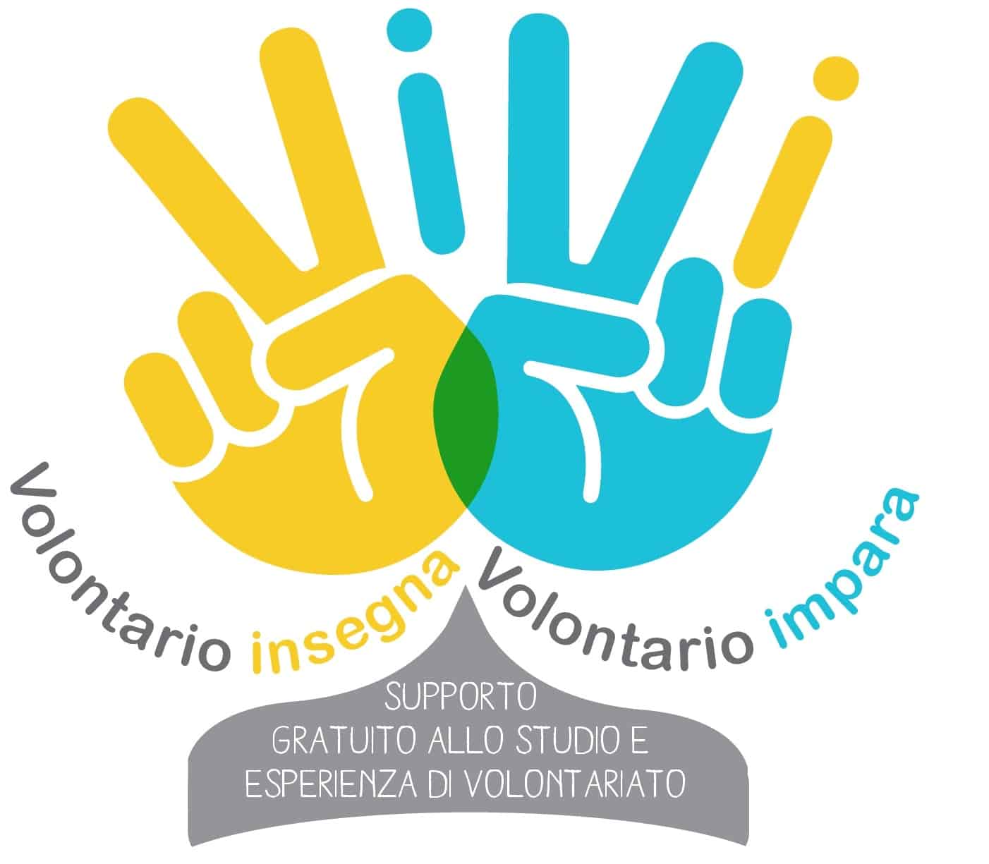 VIVI: Volontario Insegna