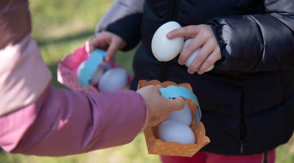Caccia alle uova di Pasqua