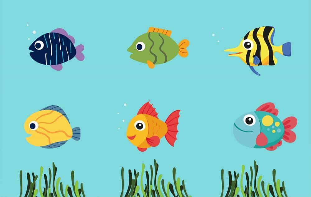 Ma-tu-di-che-pesci-sei