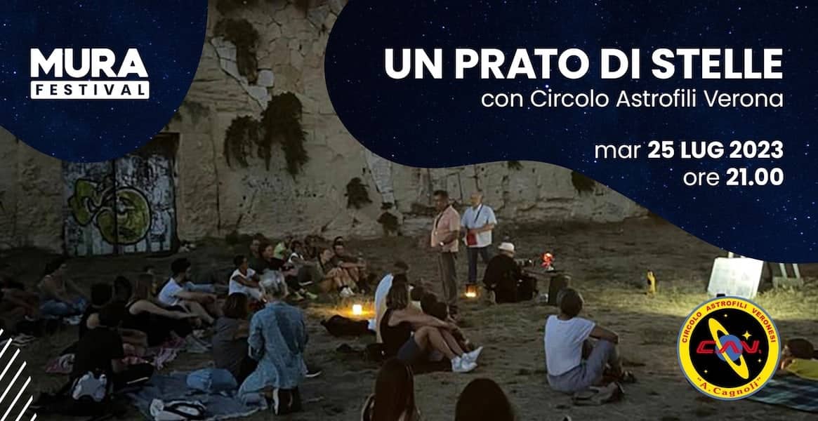 un prato di stelle