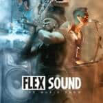 Flex Sound