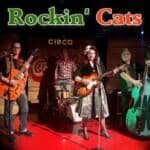 Rockin cats