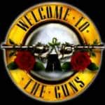 Welcome to the Guns