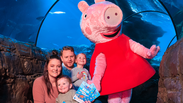 Gardaland inaugura il “Peppa Pig Aquarium Adventure”