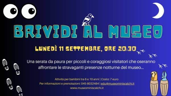 Brividi al museo… al Museo Miniscalchi Erizzo