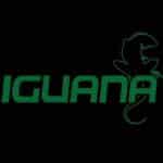 Iguana