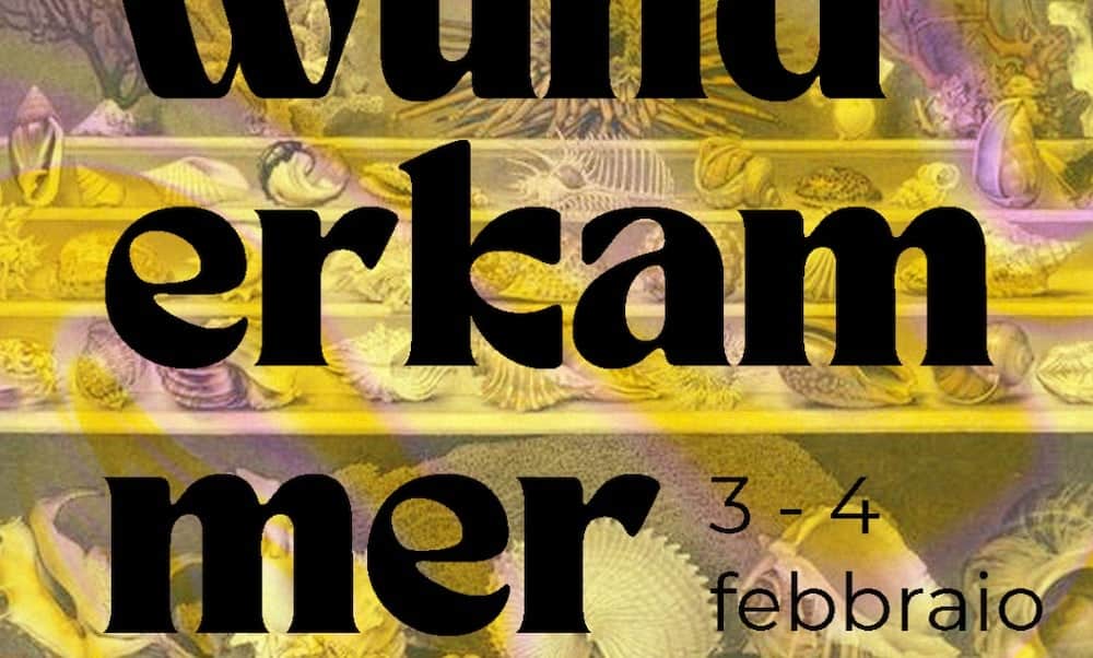 Wunderkammer: esposizione di mirabilia quotidiane