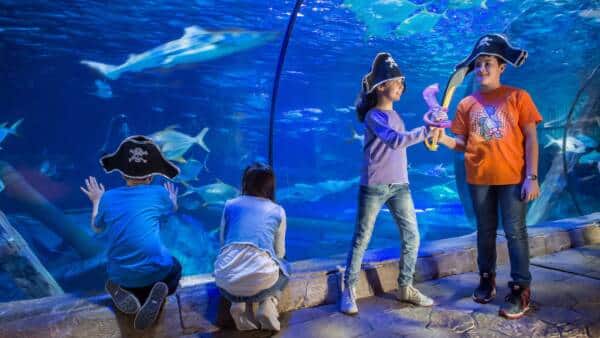 Un mare di attività al Gardaland SEA LIFE Aquarium