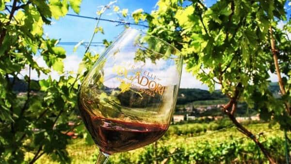 Pasqua e Pasquetta con il Palio del Recioto e Cantine Aperte alla Cantina Vogadori