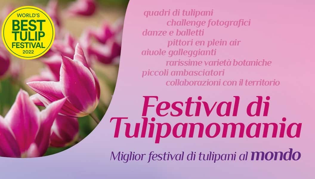 tulipanomania