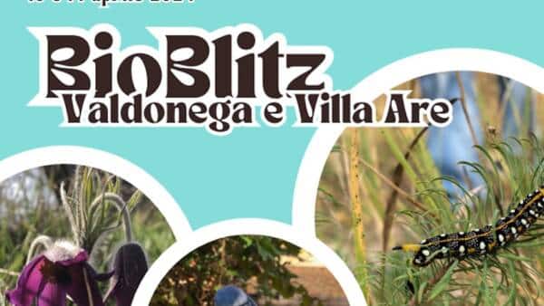 BioBlitz di naturAzioni