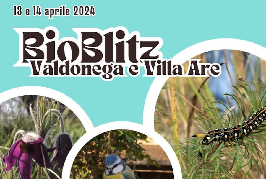 Bio Blitz in VALDONEGA