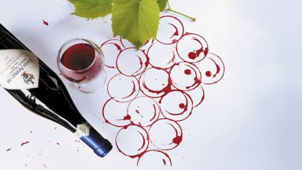 “Paint & Wine Experience” alle Possessioni Serego Alighieri