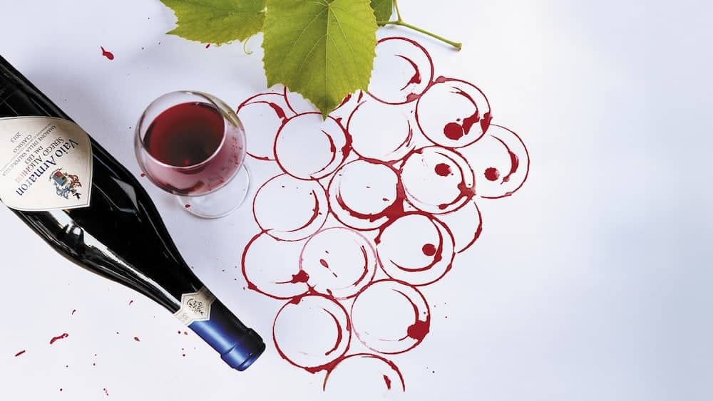 Paint & Wine Experience