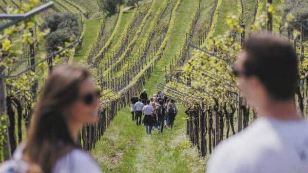 Trekking & foraging in Vigna