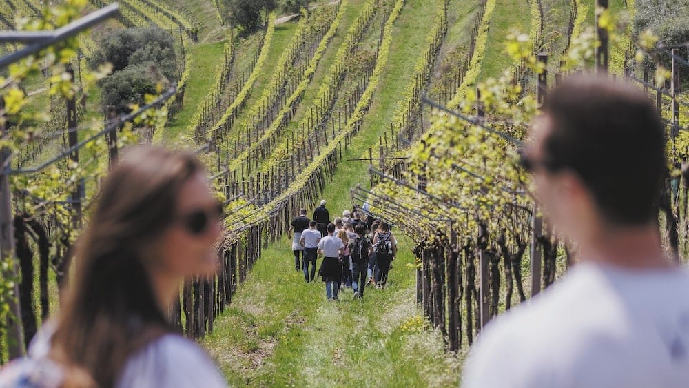 Trekking & Foraging In Vigna