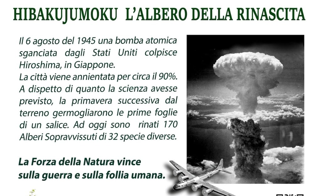 albero della rinascita