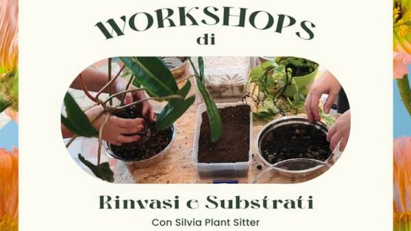 Workshops di primavera “Rinvasi e Substrati”