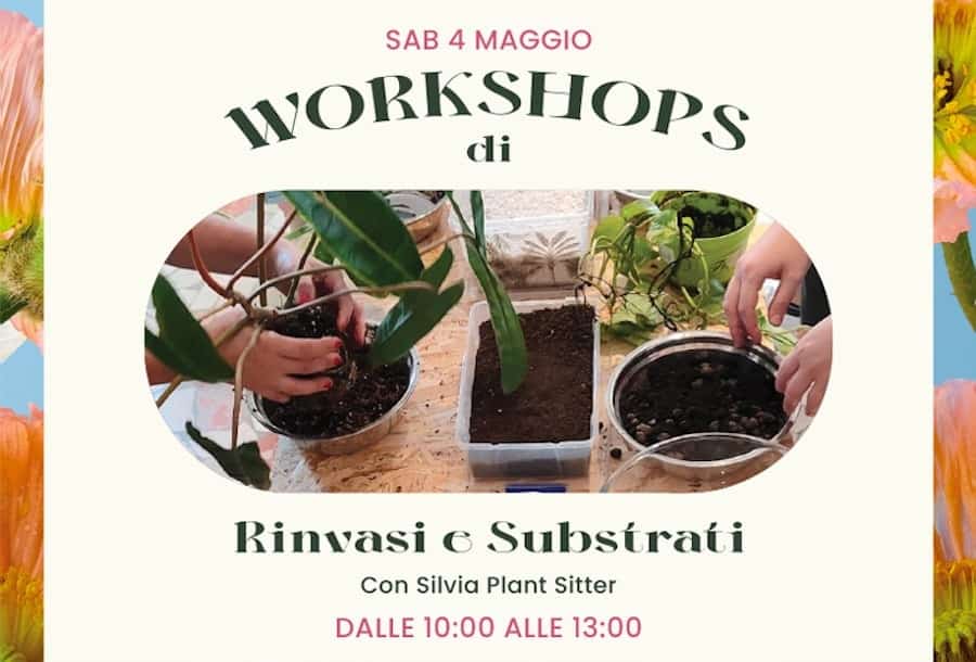 workshop primavera-rinvasi e substrati