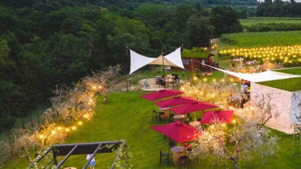 “Picnic in Vigna” sotto le stelle