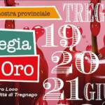 mostra ciliegia oro tregnago 2026