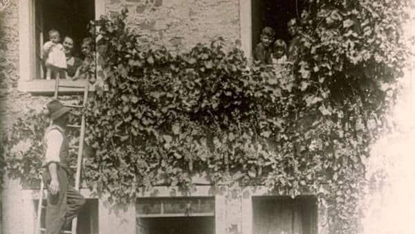 Progetto “Bucolica” a Porta Palio