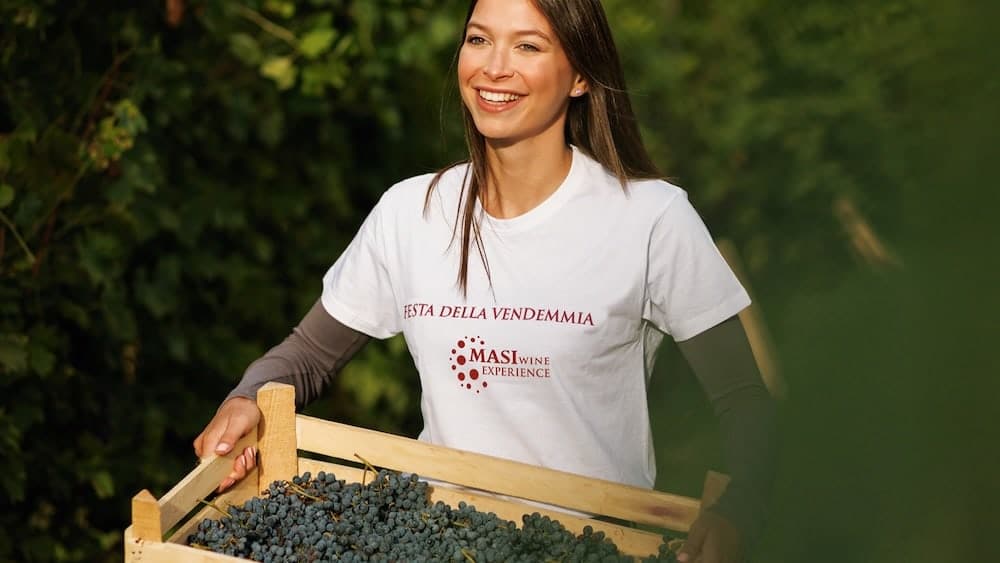 festa della vendemmia