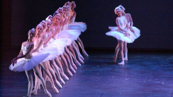 Il lago dei Cigni al Teatro Filarmonico