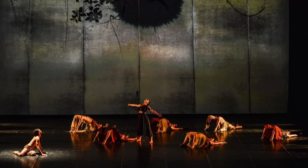 the man illusionisti danza