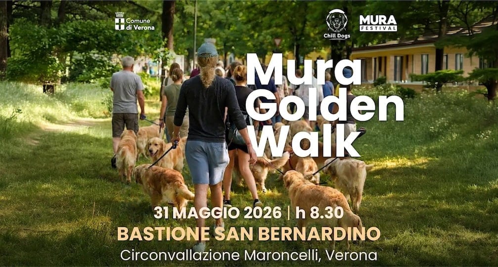 mura golden walk 2026