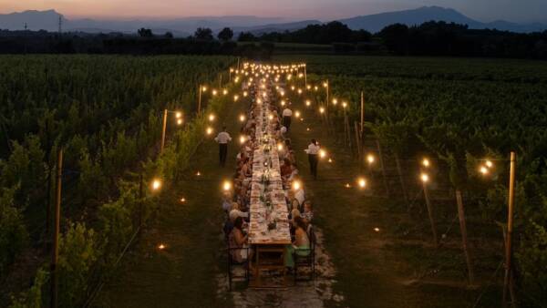 “La dolce vita”: cena in vigneto a Masi Tenuta Canova